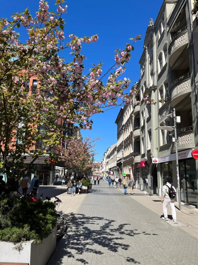 Sloneczny Apartament Centrum Poznania Klimatyzacja Wi-Fi Tv Zmywarka Pralka Piekarnik Екстериор снимка